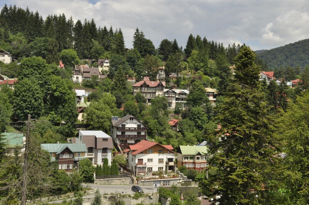La Monitori Otel Sinaia Oda fotoğraf